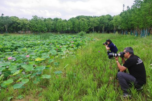 這群外國人，將從他們的視角講武漢故事(圖1)
