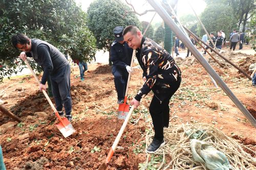 體育中心開展植樹活動(dòng)</br>建香樟大道為軍運(yùn)會(huì)建設(shè)添綠(圖2) 體育中心開展植樹活動(dòng)</br>建香樟大道為軍運(yùn)會(huì)建設(shè)添綠(圖2)