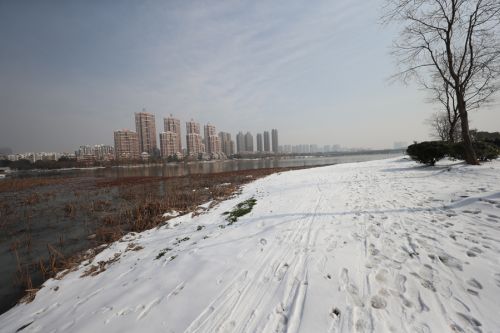 我們都是追夢人(圖1) 我們都是追夢人(圖1)