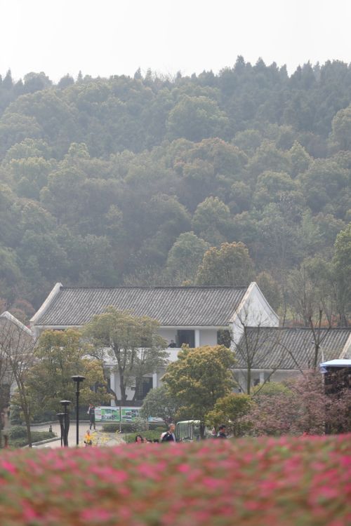 “與軍運(yùn)同行”徒步活動(dòng)上演“快閃” 武漢體育中心作為企業(yè)代表隊(duì)第一方陣登場(圖3) “與軍運(yùn)同行”徒步活動(dòng)上演“快閃” 武漢體育中心作為企業(yè)代表隊(duì)第一方陣登場(圖3)