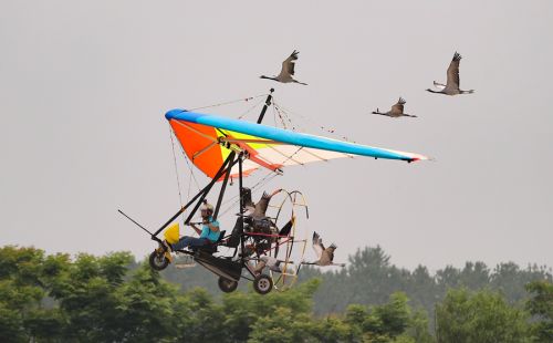 2019國(guó)際航聯(lián)世界飛行者大會(huì)在我區(qū)開幕 頂尖飛行員翱翔“天空之城”(圖13) 2019國(guó)際航聯(lián)世界飛行者大會(huì)在我區(qū)開幕 頂尖飛行員翱翔“天空之城”(圖13)