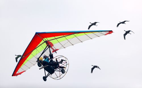 2019世飛會(huì)閉幕(圖3) 2019世飛會(huì)閉幕(圖3)