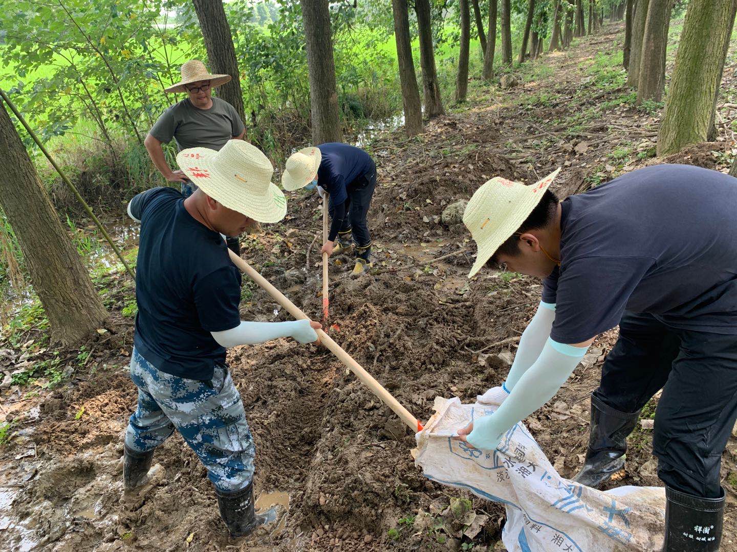 公司領(lǐng)導上堤檢查防汛(圖3)